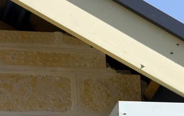 soffit repair Bole